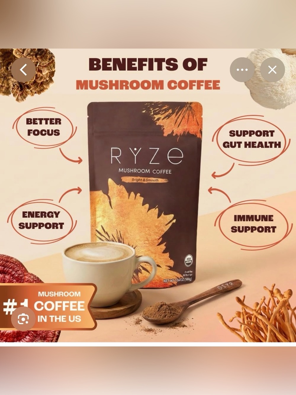 Mushroom Coffee One Bag 6.3oz : Two mini bag probiotic creamer: one scoop : NEW - Picture 5 of 16